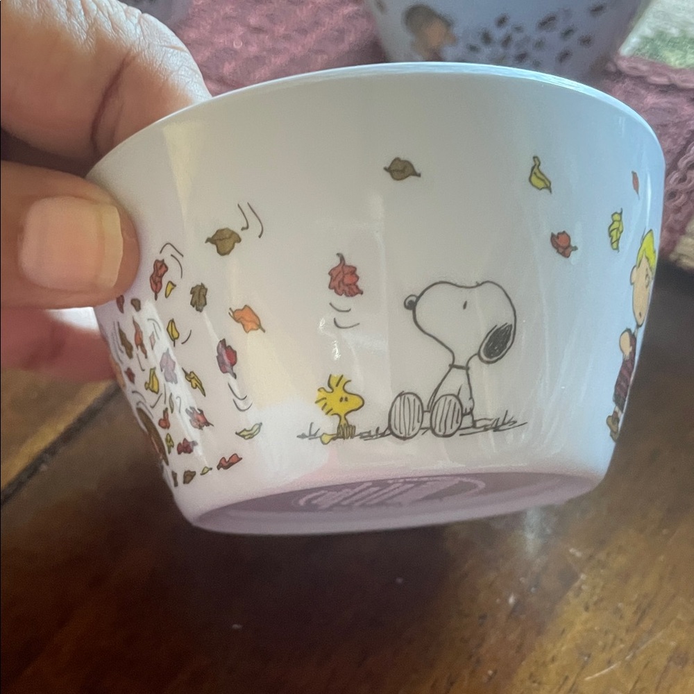 Snoopy, who Woodstock and The Peanuts gang Melamine Bowls